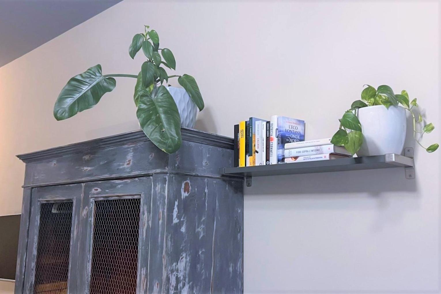 Apartment L'λᄂᄂөggiө Di Kλmλ' *